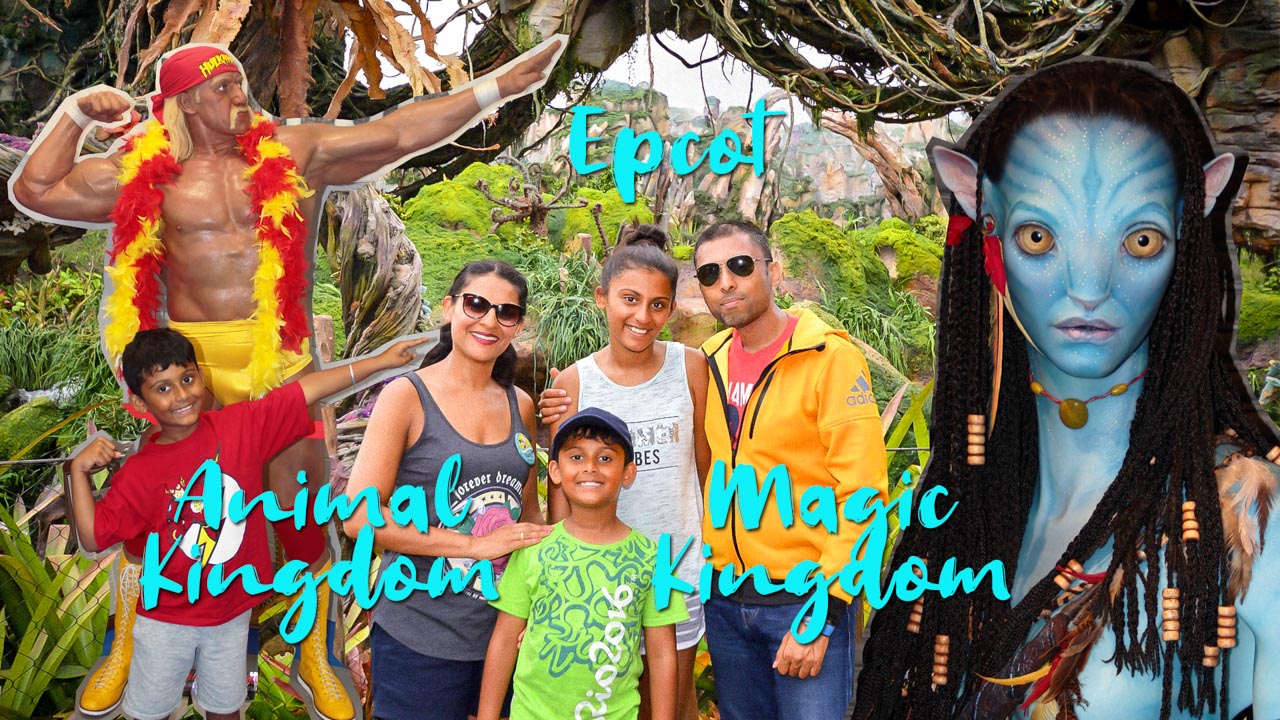 Hulk Hogan's Beach Shop and 3 Disney parks