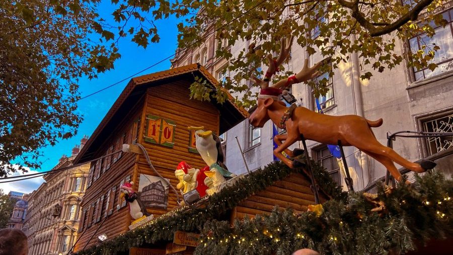 Reindeer at Christmas Market