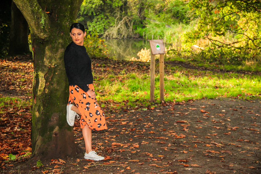 Leasowes Park & Woods