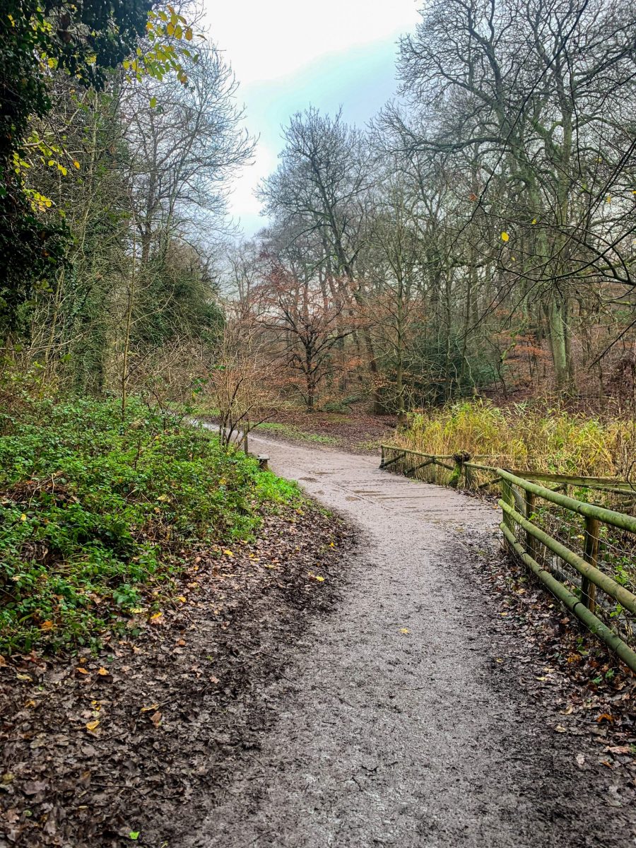 Leasowes Park & Woods