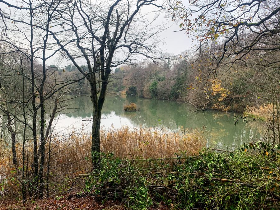 Leasowes Park & Woods