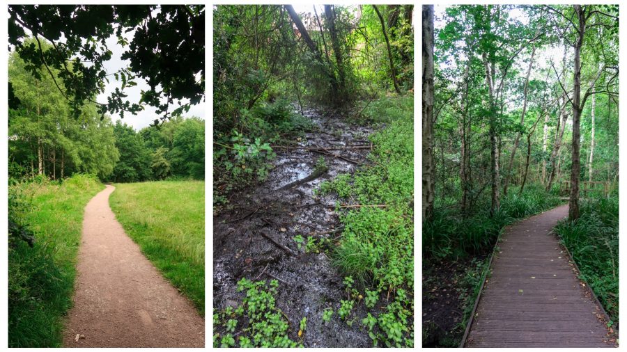 Moseley Bog, Birmingham