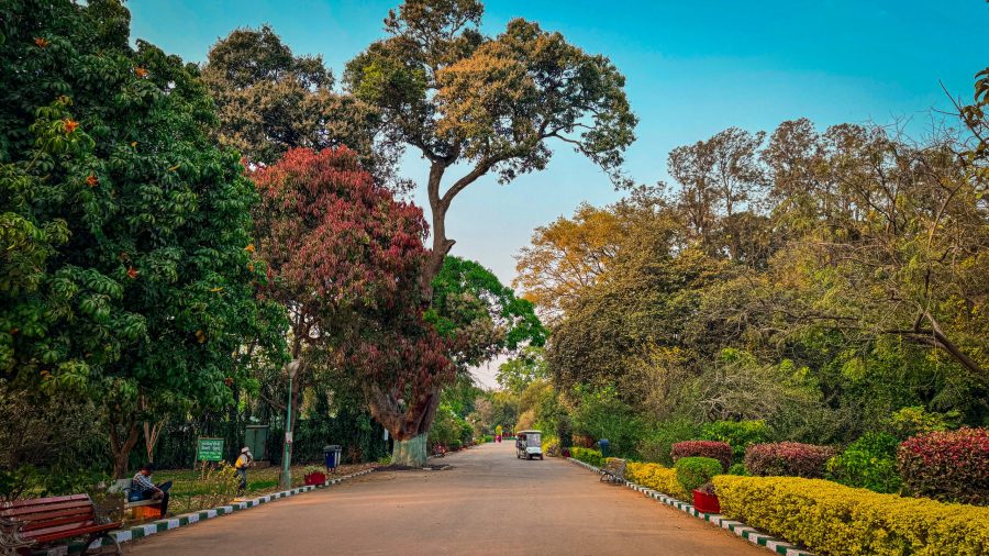 Lalbagh Botanical Garden, Bangalore
