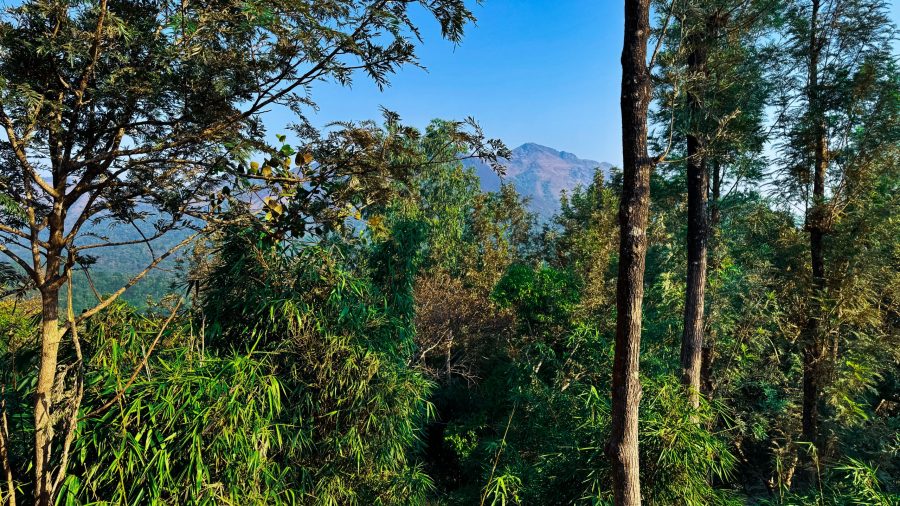 Coorg skyline