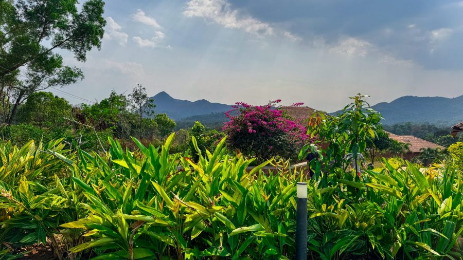 Karnataka Uncovered: Machaan Hill Station in Sakleshpur