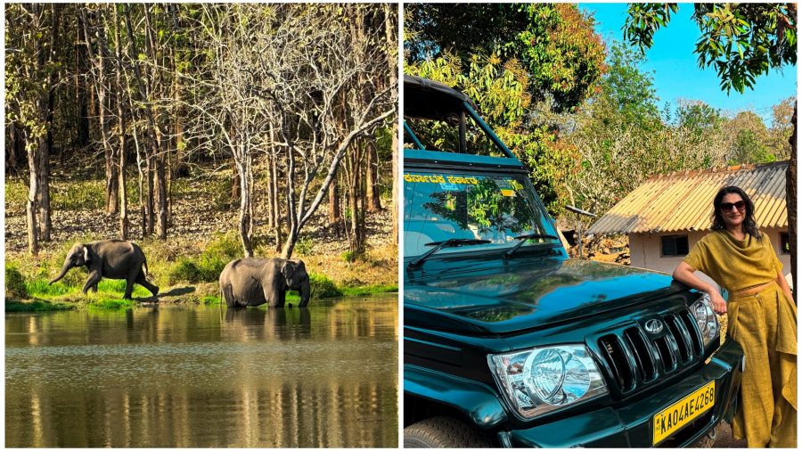 Karnataka Uncovered: Wildlife Safari in Nagarhole