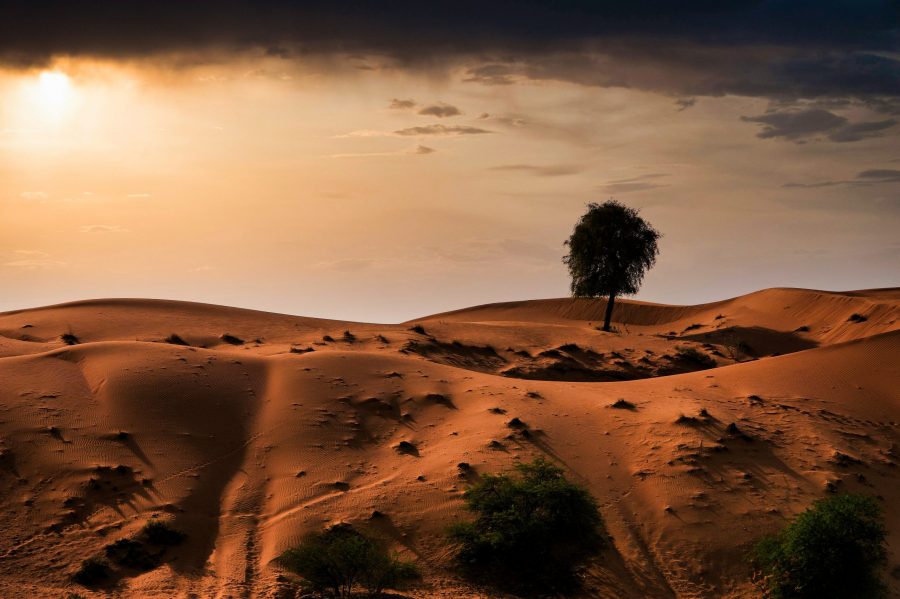 Sharjah Desert