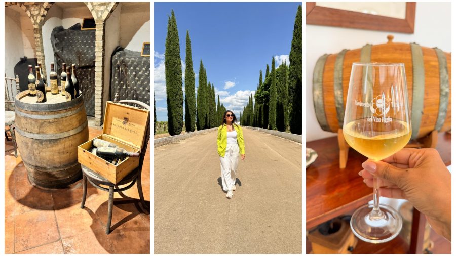 D'alfonso del sordo vineyard and winery