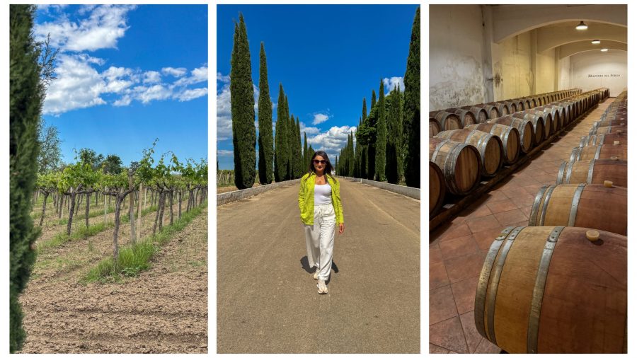 Sampling local wine at a family-run vineyard, one of the hidden gems in Puglia’s countryside