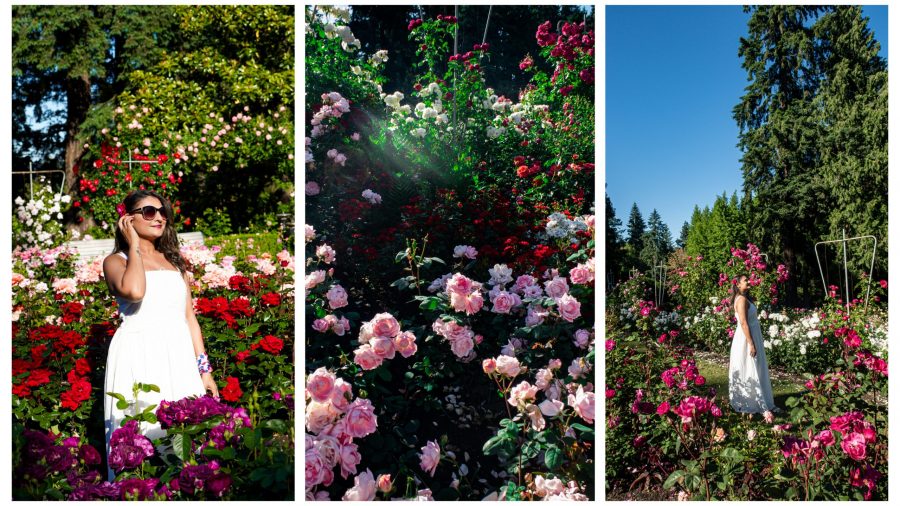 Me at the International Rose Test Garden