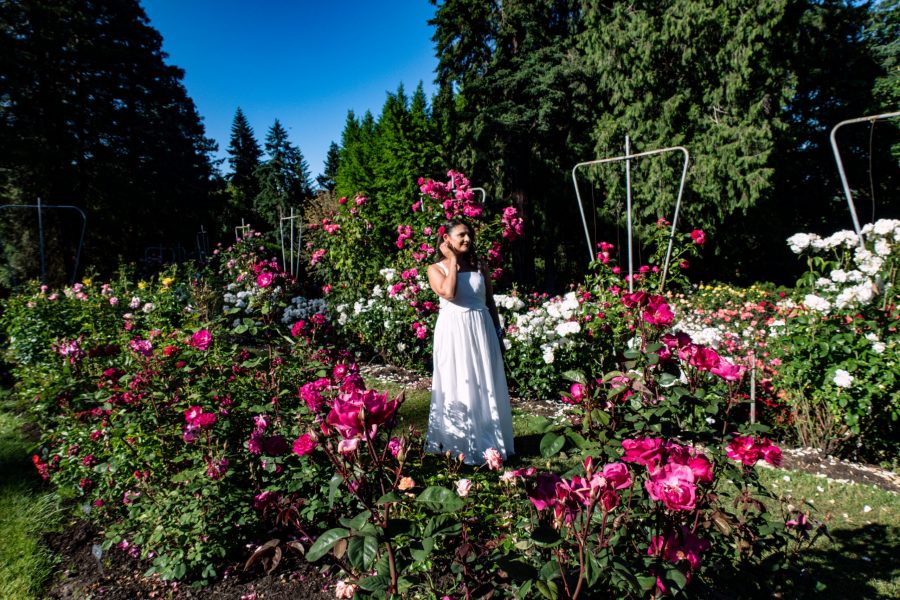 International Rose Test Garden, Portland