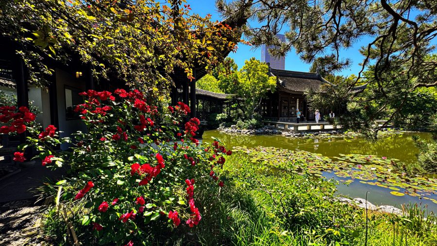 Lan Su Chinese Garden, Portland, PDX