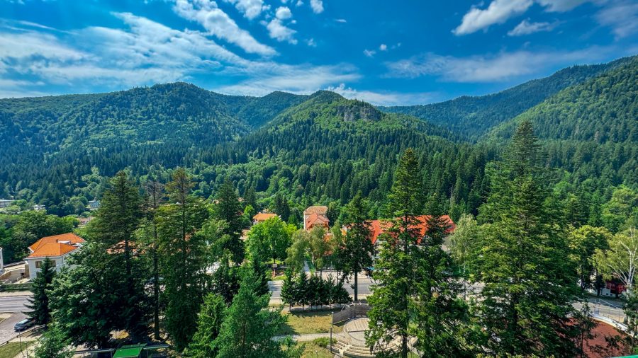 Discover Harghita - mountains, trees and forests