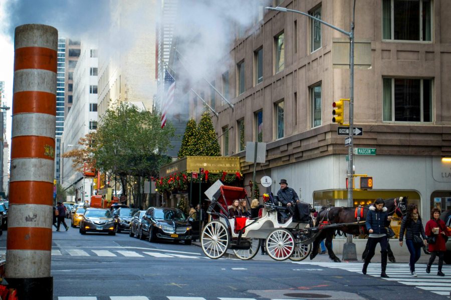 Horse and carriage ride, a classic festive experience.