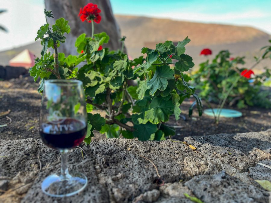 Wine glass at Bodega Stratvs