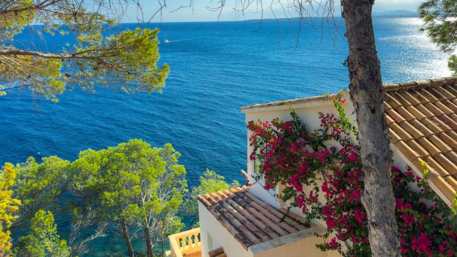 View of the sea - hiking trails in Mallorca