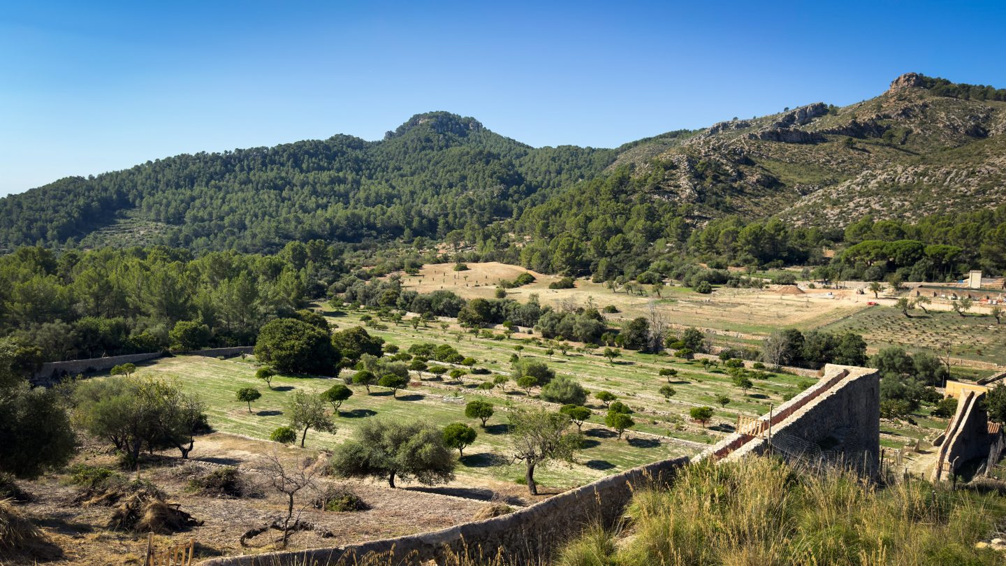 Tramuntana Peaks