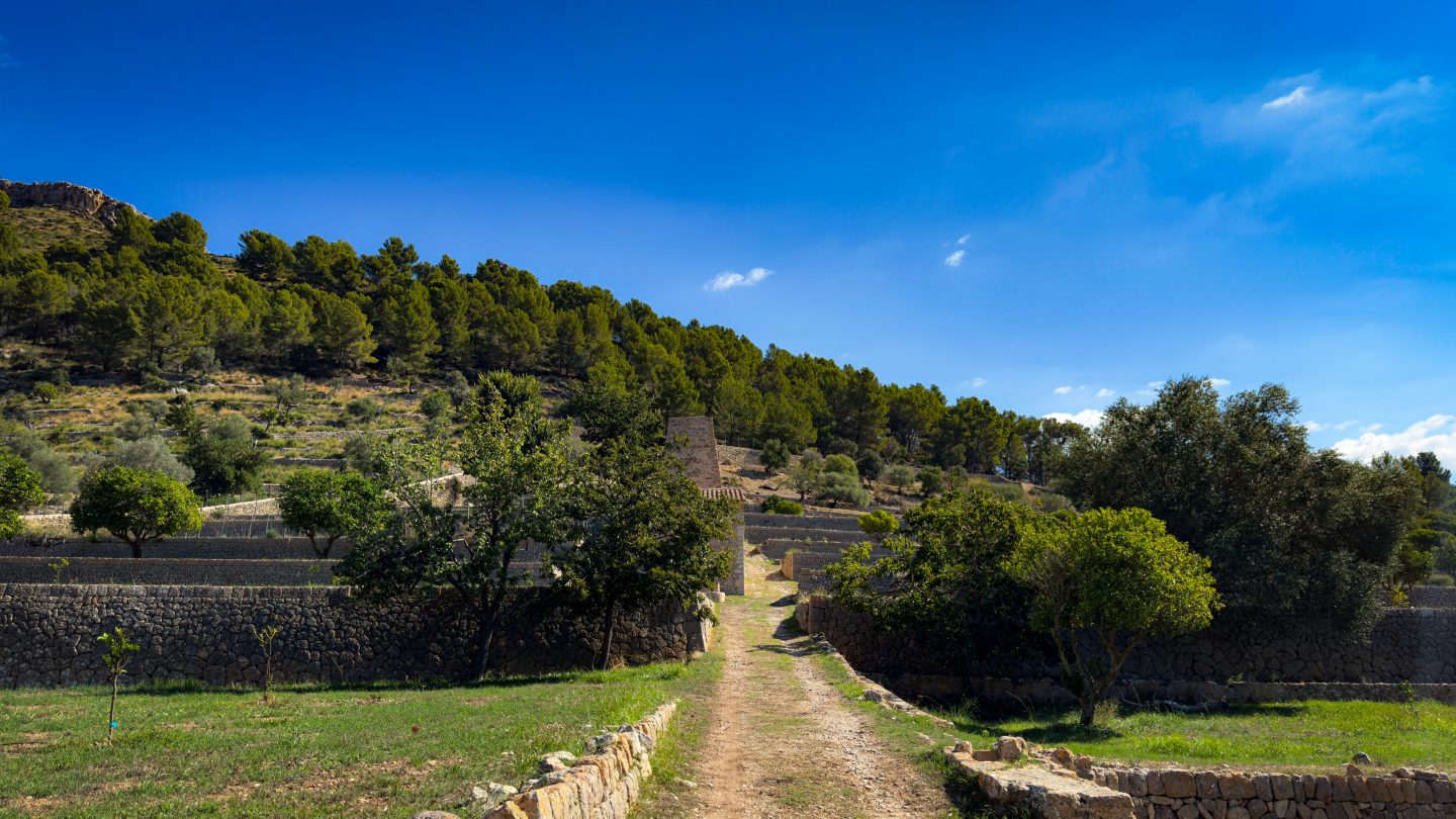 Finca Publica Galatzo