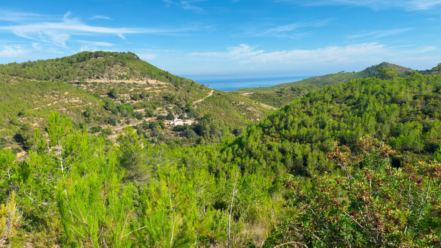 Ibiza off the beaten track - beautiful hikes