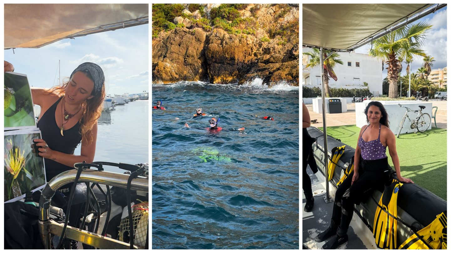 Snorkelling the Posidonia Oceanica - Ibiza off the beaten track