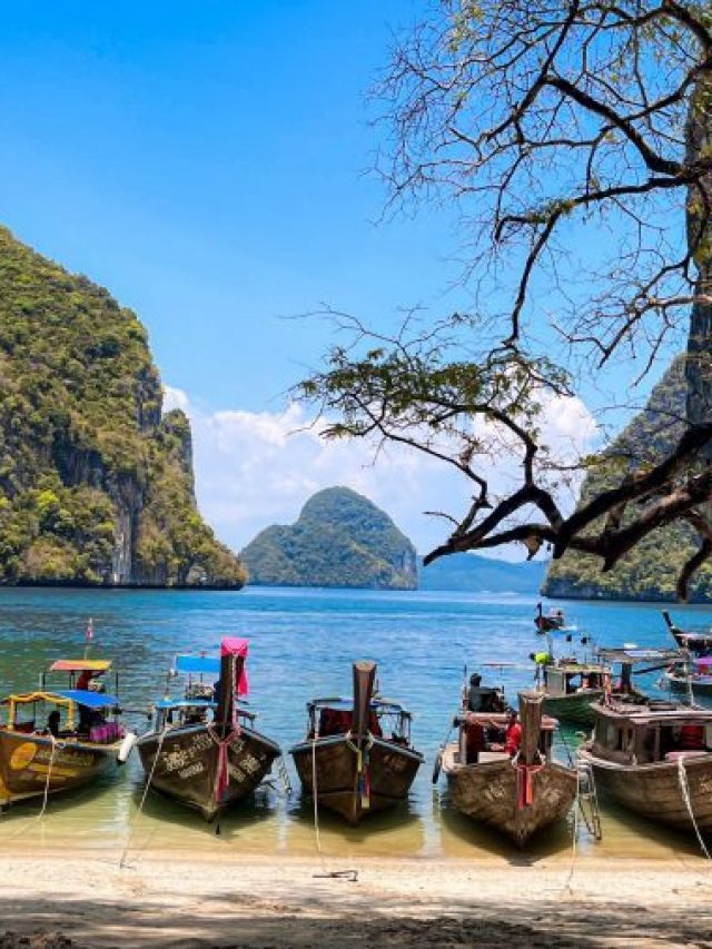 7 Must-Do Experiences In Thailand For A Family Adventure