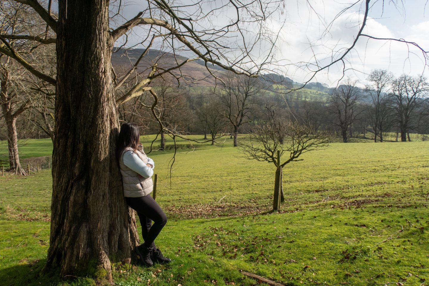 A woman leaning against a tree looking out over the rolling hills during a Peak District walking and wellness break.