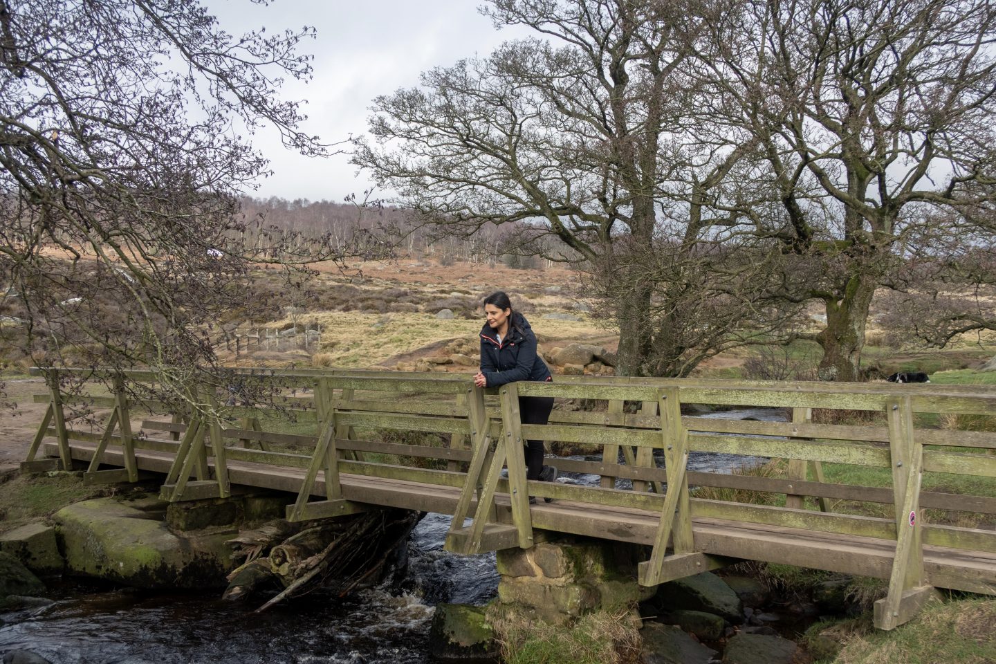 A woman leaning over a wooden bridge overlooking a stream on the Padley Gorge Trail