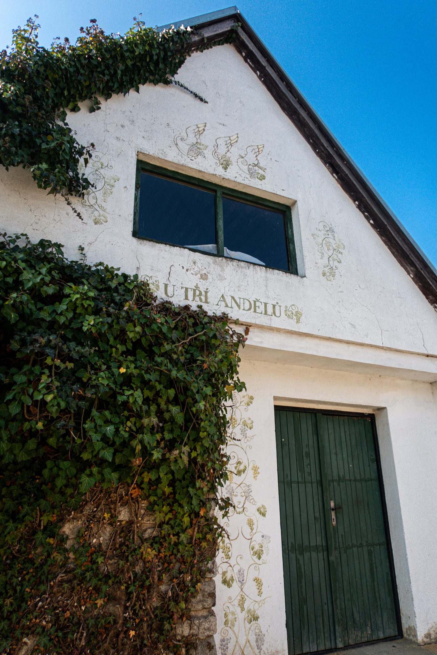 Hnanice Wine Village Cellar