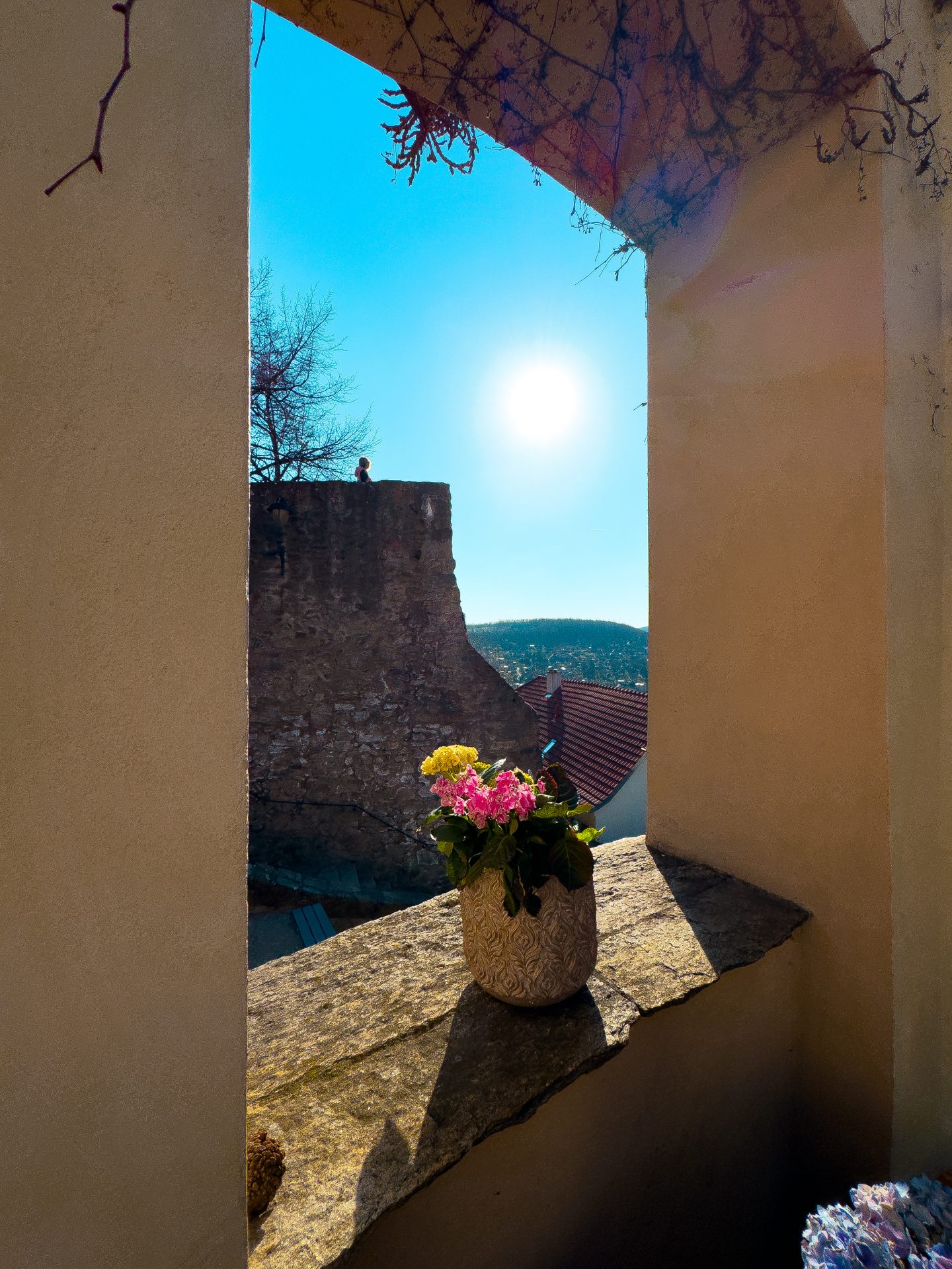 A view from the courtyard of Mikulas Bistro in Znojmo