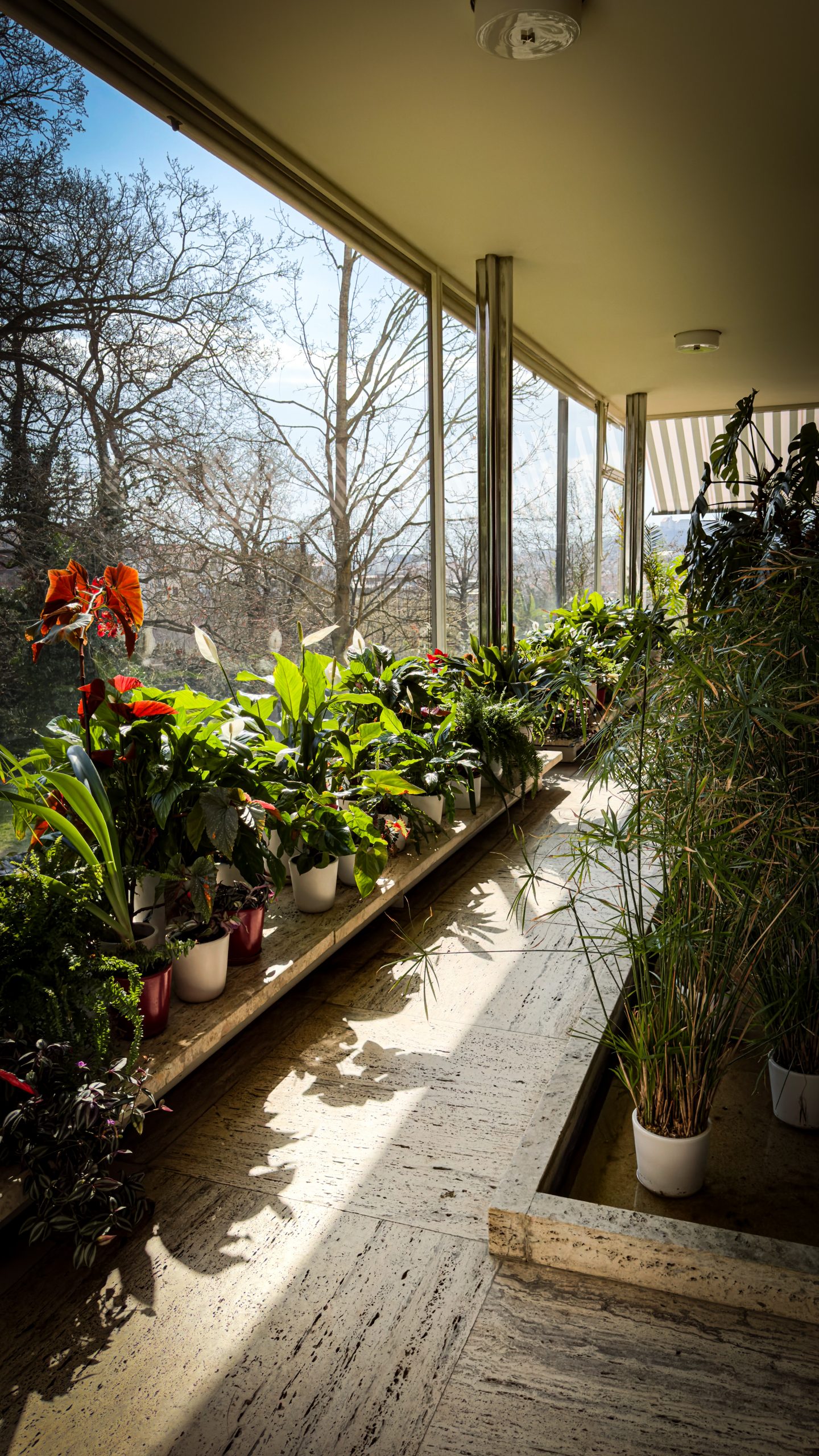 Garden room at Villa Tugendhat in Brno