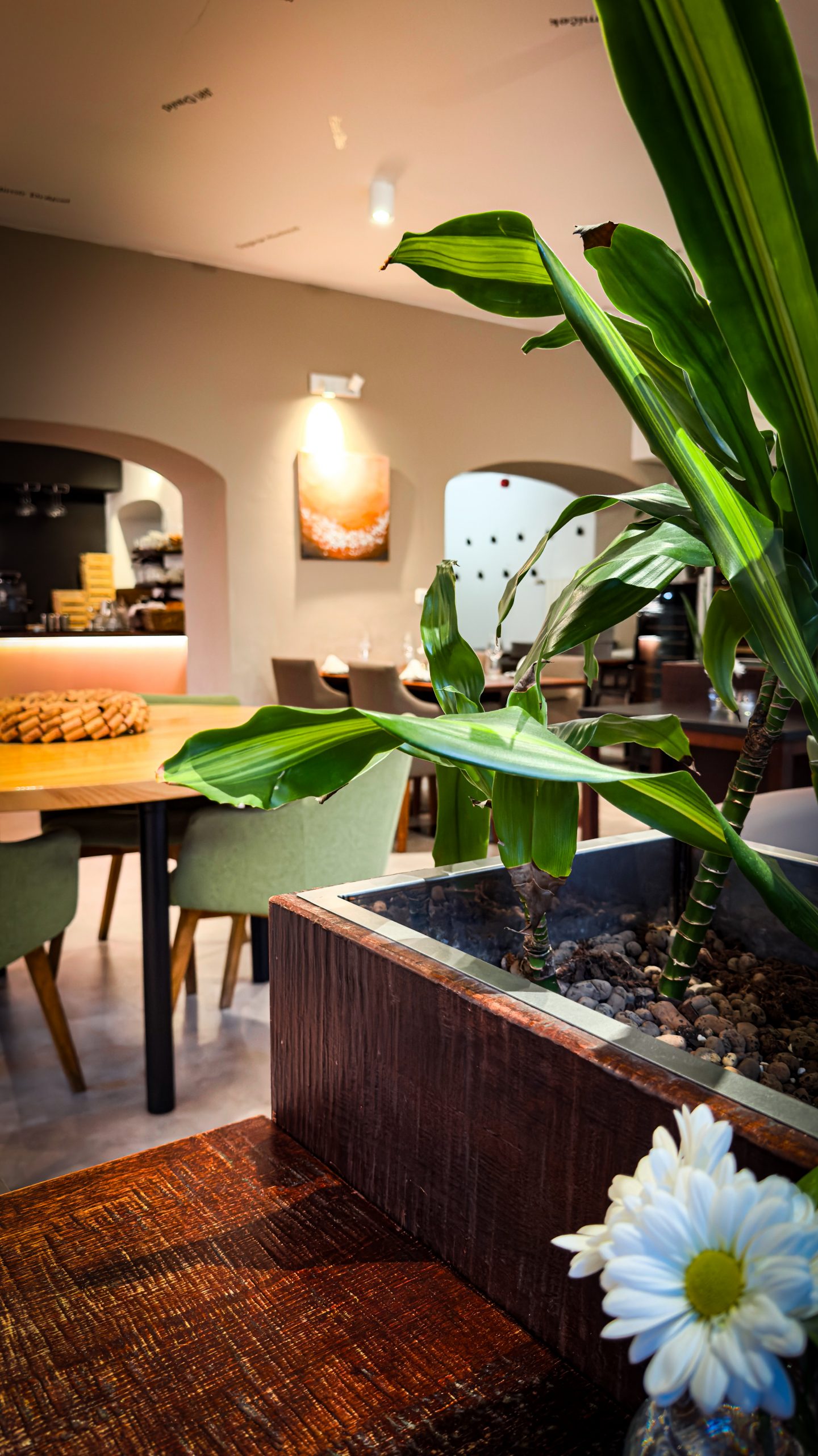 The interior chairs, tables and plants at Kohout Na Vine restaurant