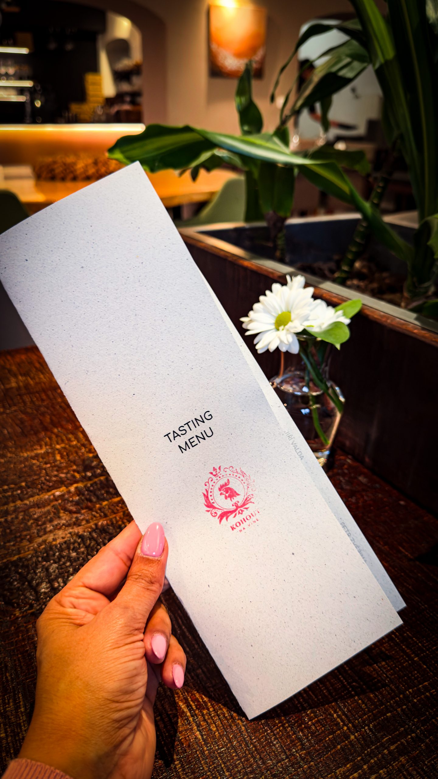 Menu card at Kohout Na Vine restaurant