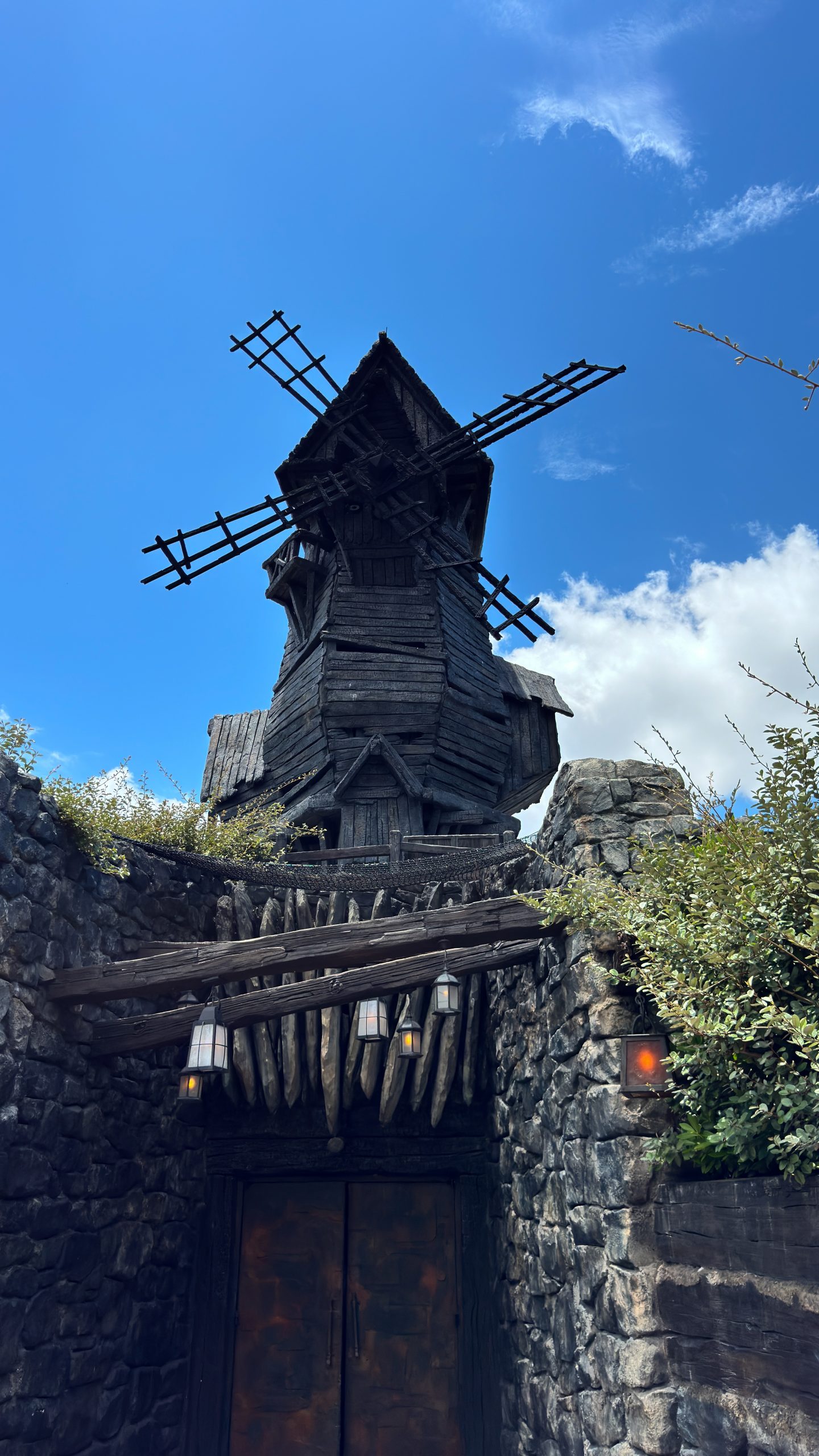 Dark Universe windmill