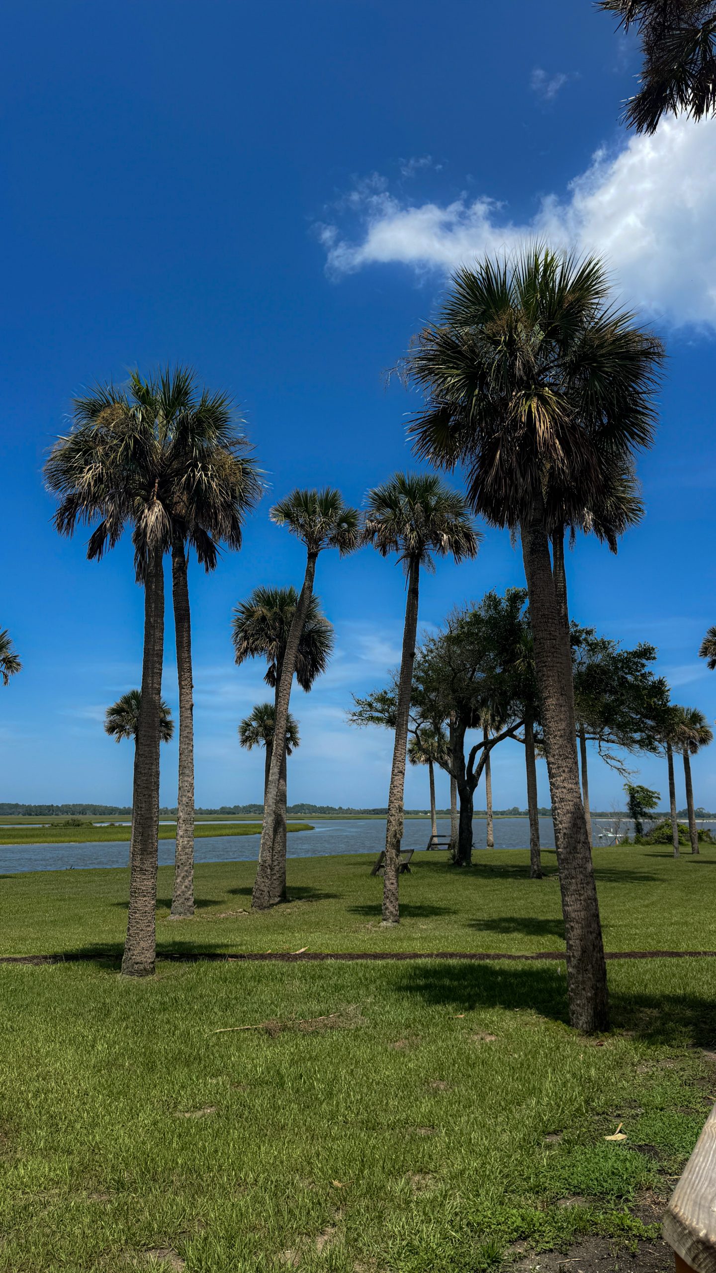 Kingsley Plantation on the river