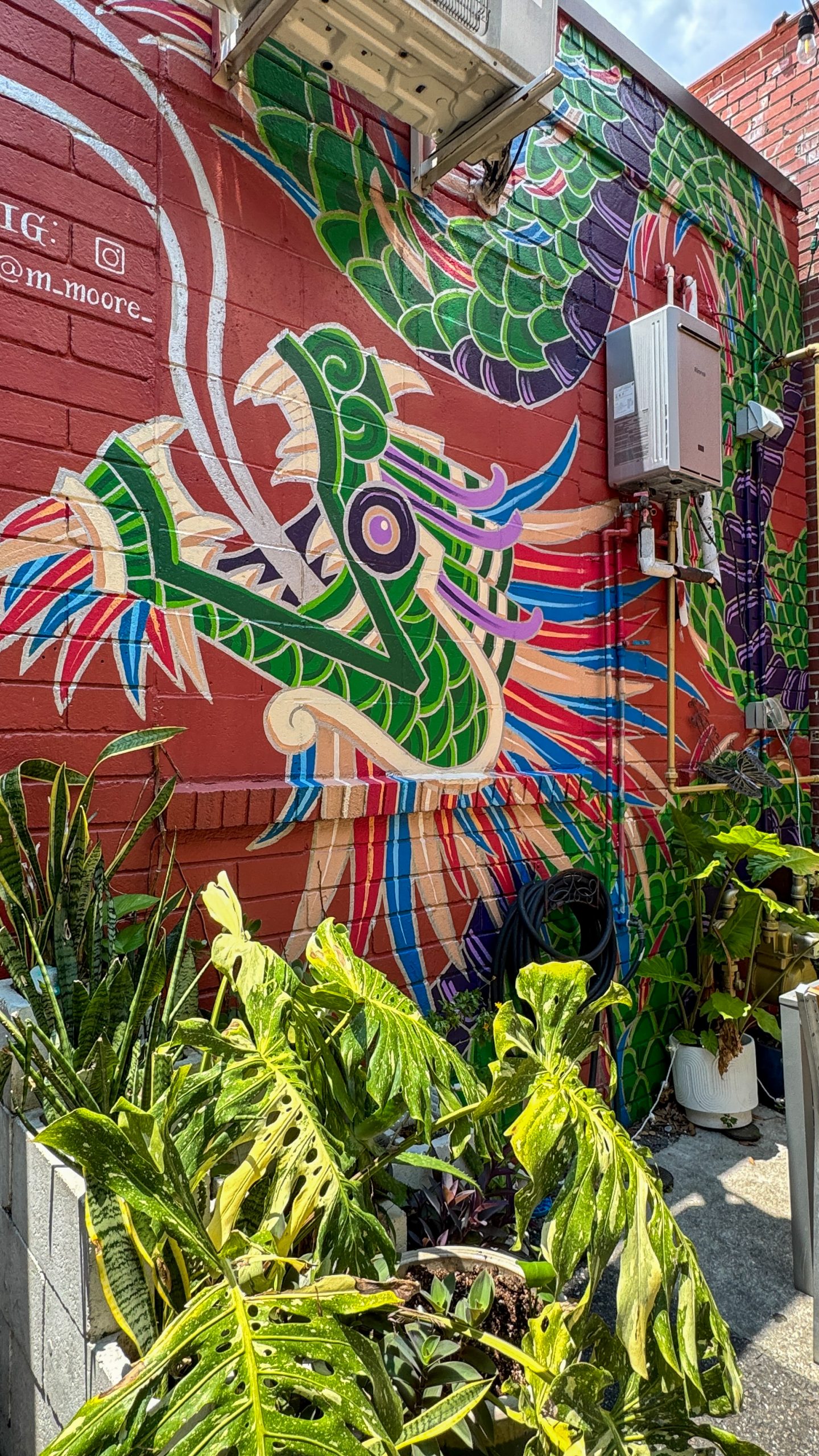 Taqueria Cinco art work