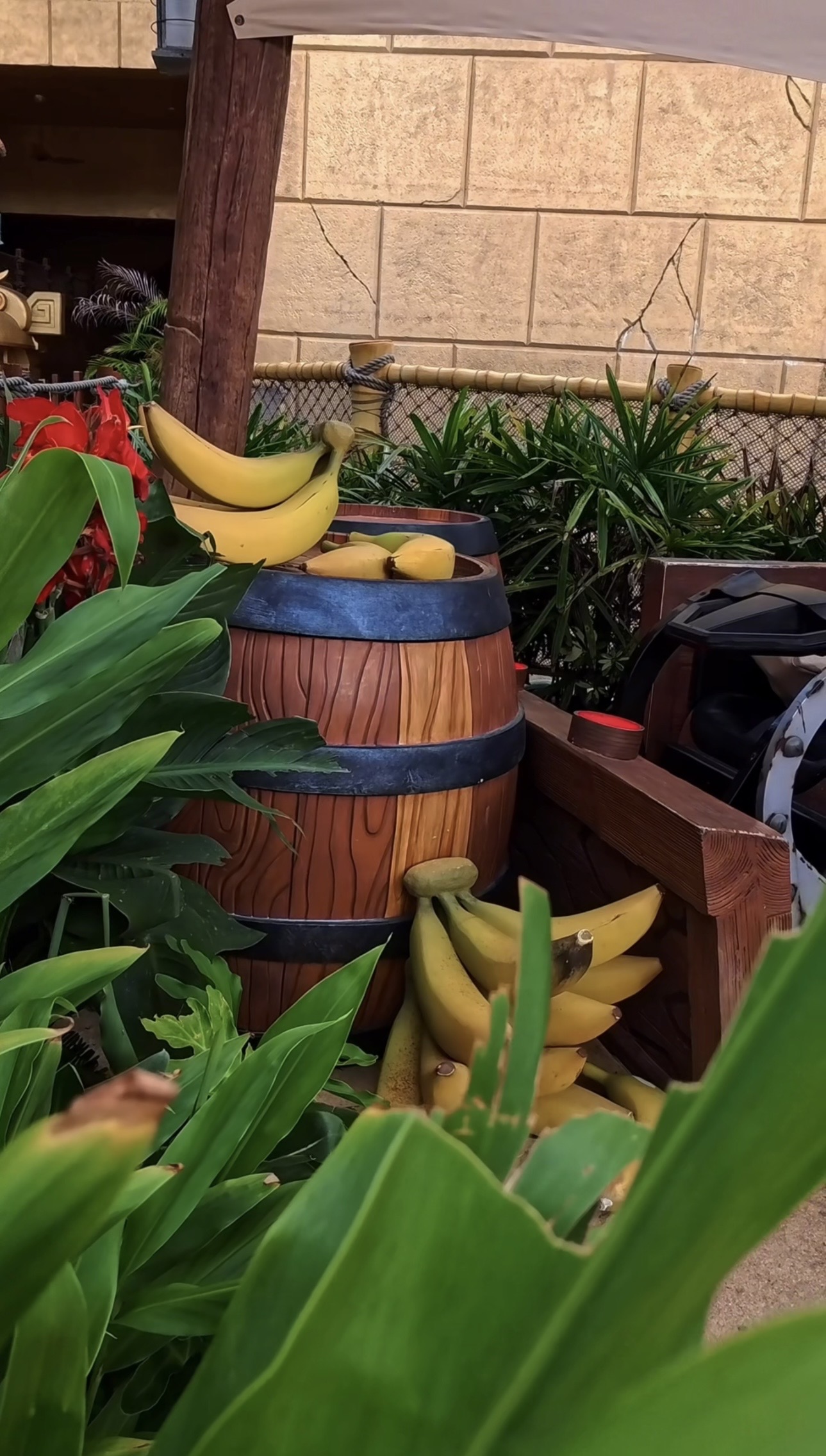 Donkey Kong country