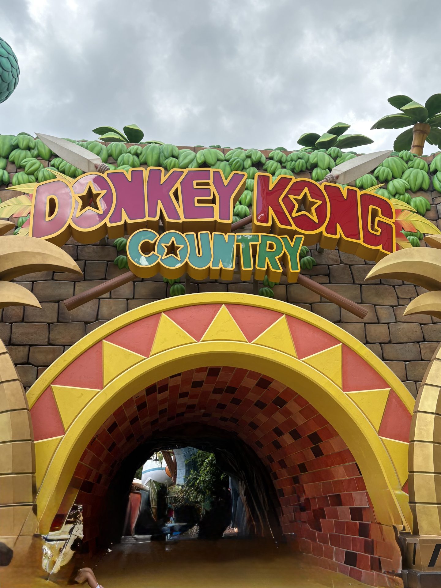 Donkey Kong Country entrance