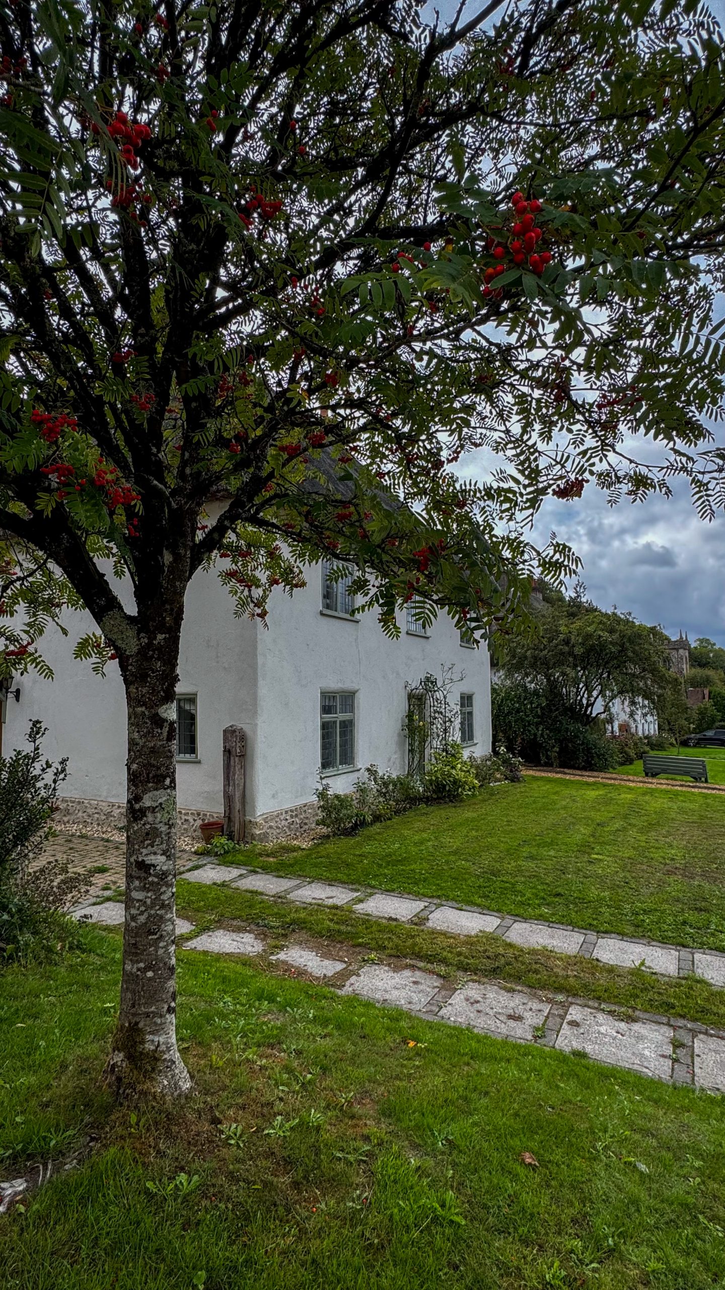 Milton Abbas cottage